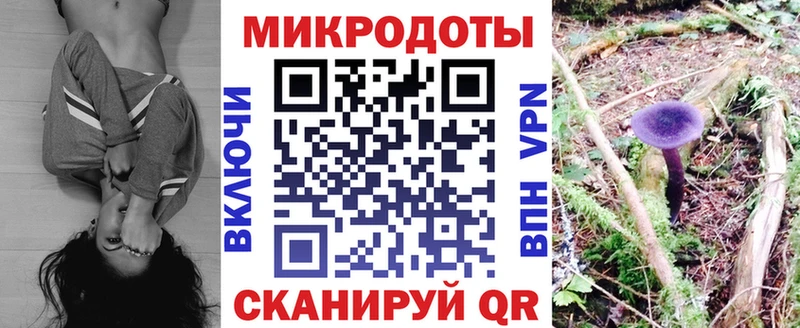 Купить закладки  Карасук  Галлюциногенные грибы ЛСД 